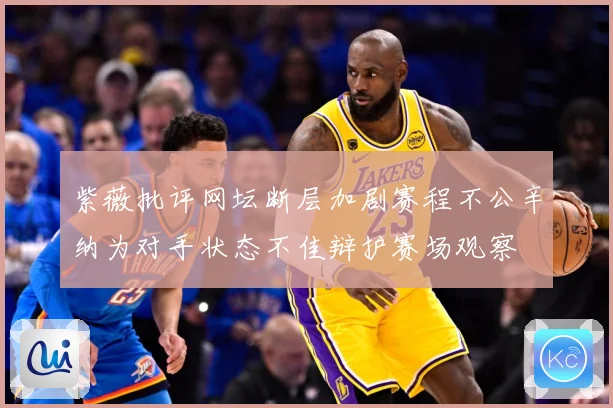 紫薇批评网坛断层加剧赛程不公辛纳为对手状态不佳辩护赛场观察