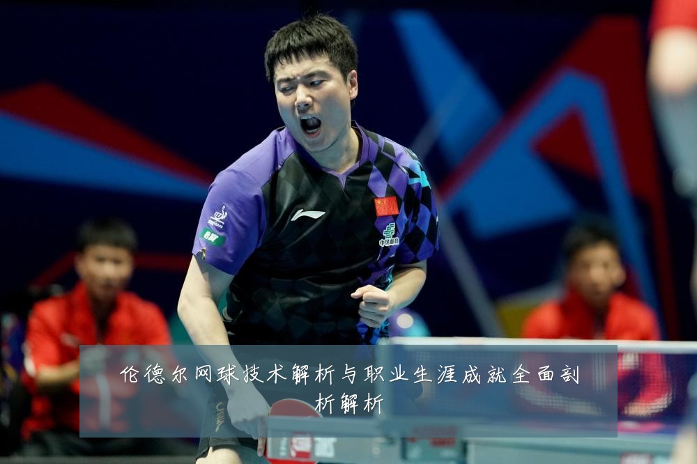伦德尔网球技术解析与职业生涯成就全面剖析解析