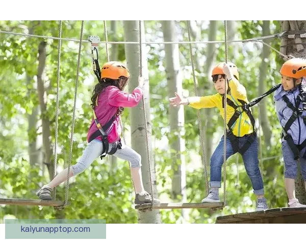 开云体育下载全新体验指南助力用户畅享运动乐趣